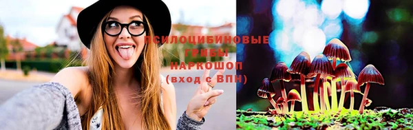 эйфоретик Новодвинск