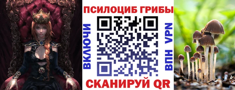 Псилоцибиновые грибы Psilocybe  Сухой Лог 